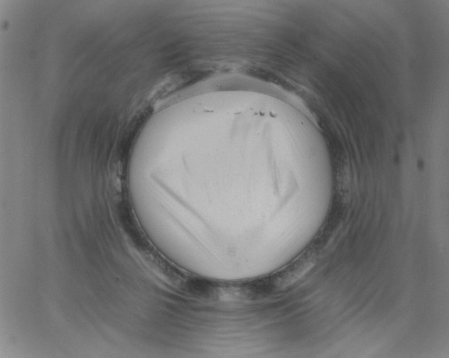 X0000066100264200604071829