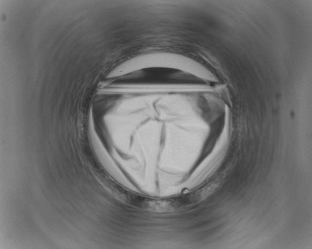 X0000066100265200604071829