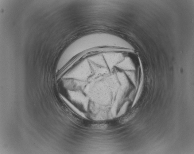 X0000066100266200604071830