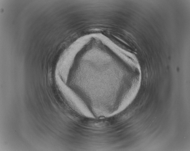 X0000066100267200604071830