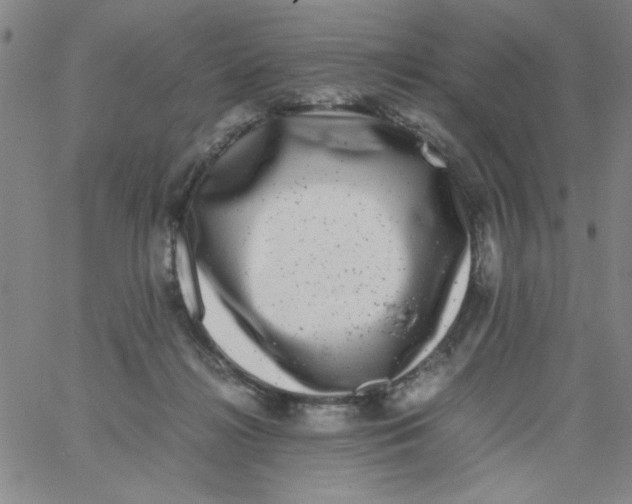 X0000066100268200604071830