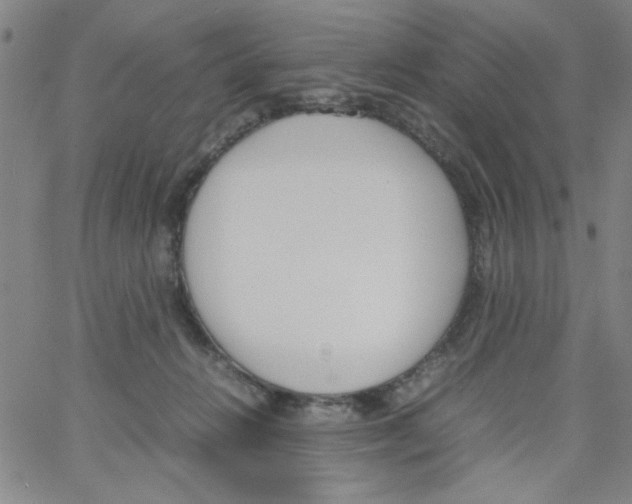 X0000066100270200604071830