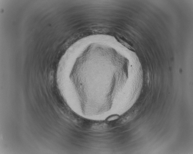 X0000066100271200604071830