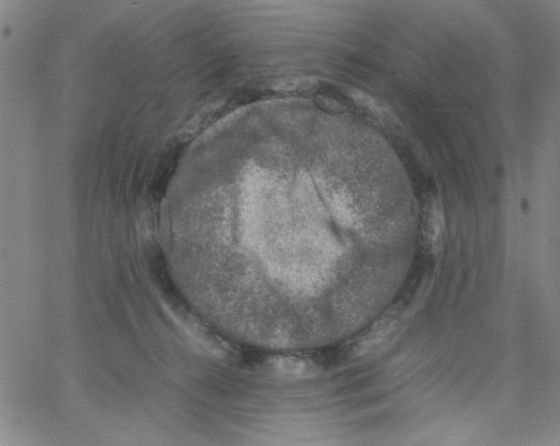 X0000066100272200604071830