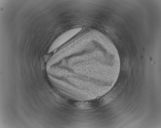 X0000066100273200604071830