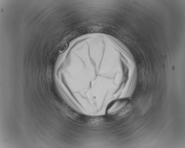 X0000066100274200604071830