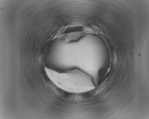 X0000066100276200604071830