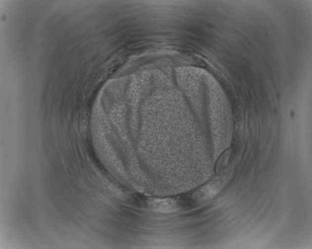 X0000066100277200604071830