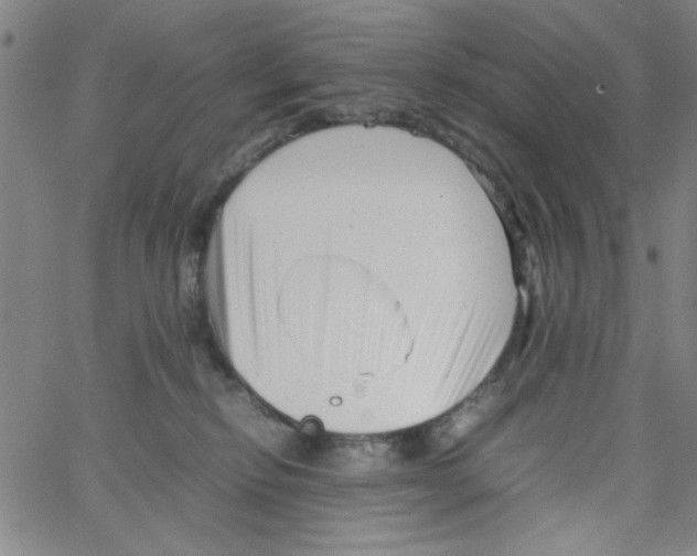 X0000066100278200604071830