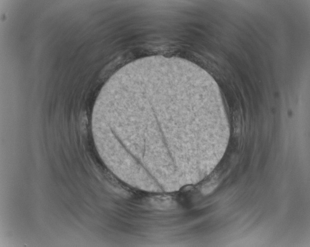 X0000066100279200604071830