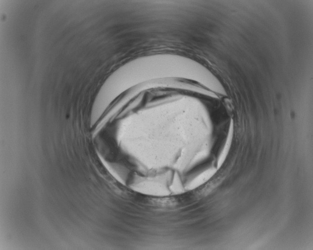 X0000066100281200604071830