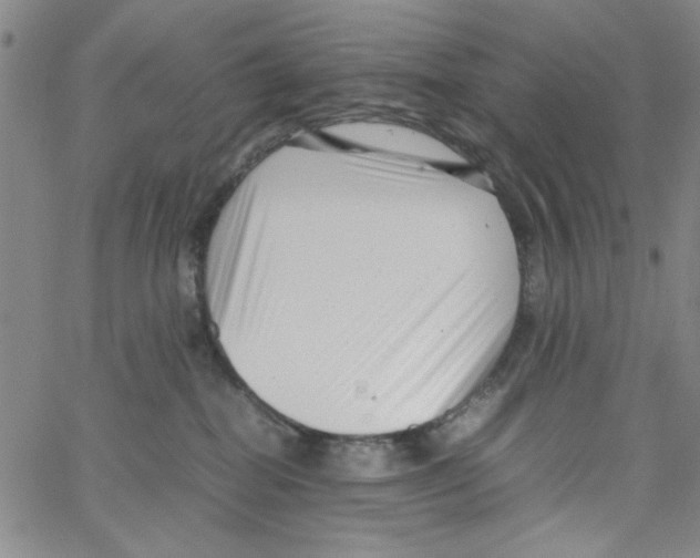 X0000066100282200604071830