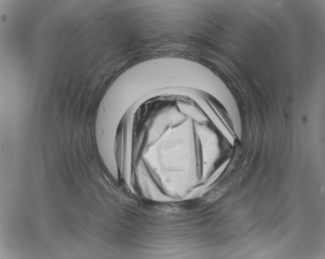 X0000066100284200604071830