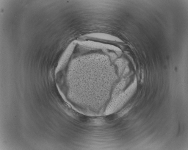 X0000066100286200604071830