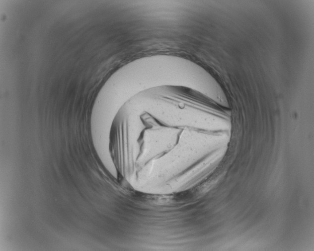 X0000066100288200604071830