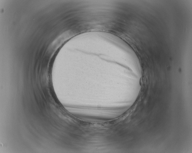 X0000066100290200604071829