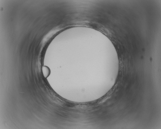 X0000066100294200604071829