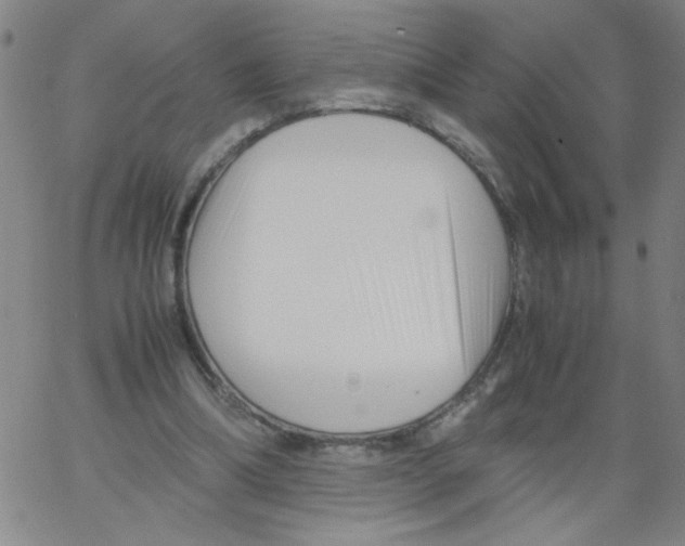 X0000066100298200604071829