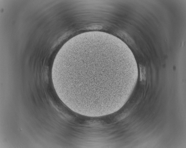 X0000066100300200604071829