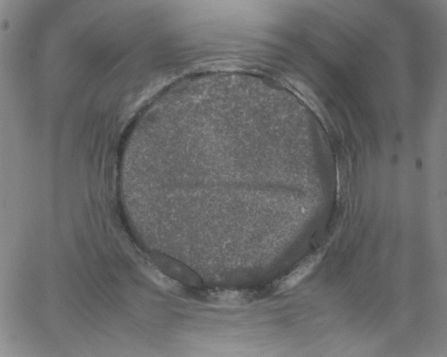 X0000066100301200604071829