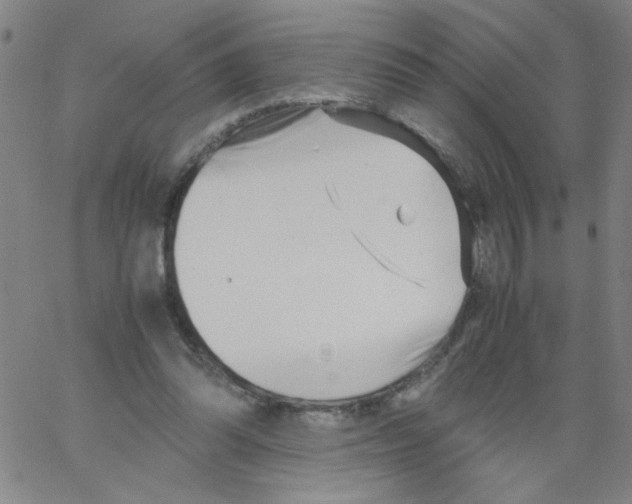 X0000066100302200604071829