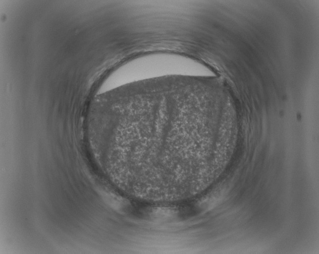 X0000066100303200604071829