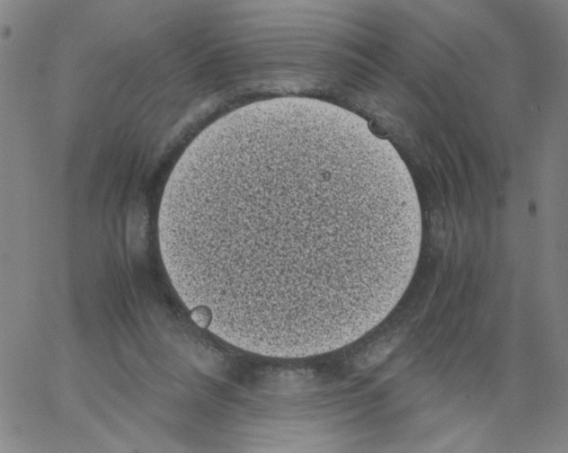 X0000066100304200604071829