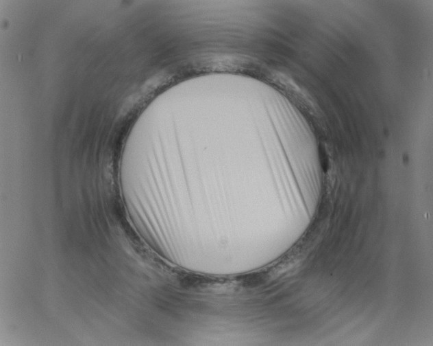 X0000066100306200604071829