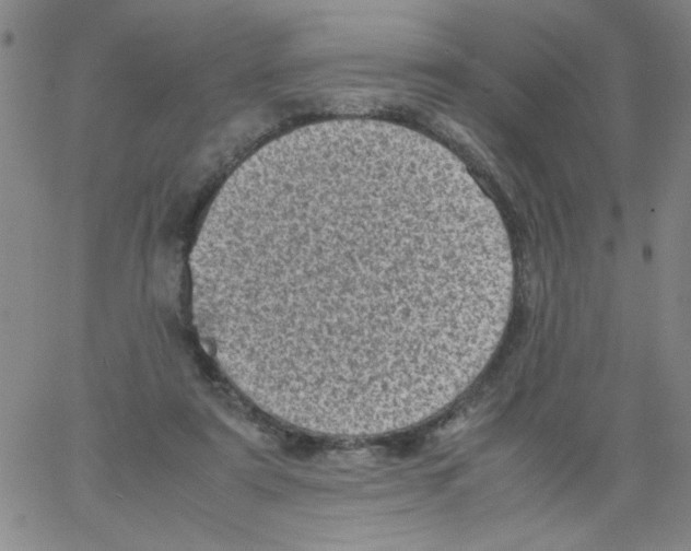 X0000066100307200604071829