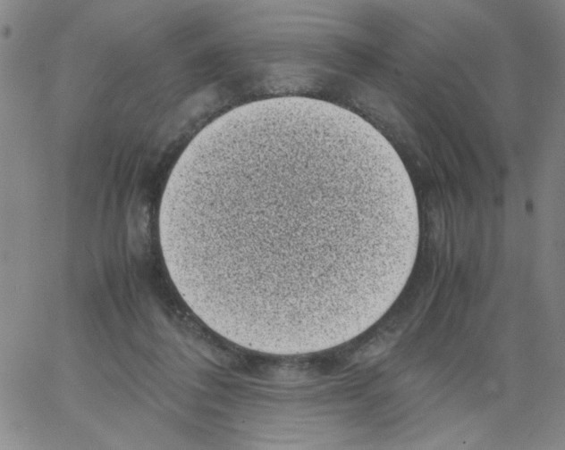 X0000066100308200604071829