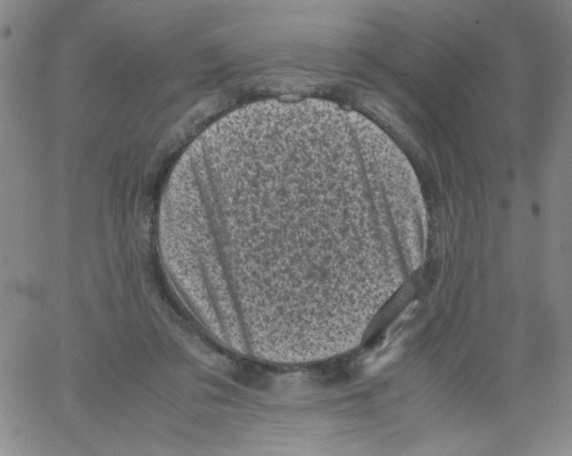 X0000066100309200604071829