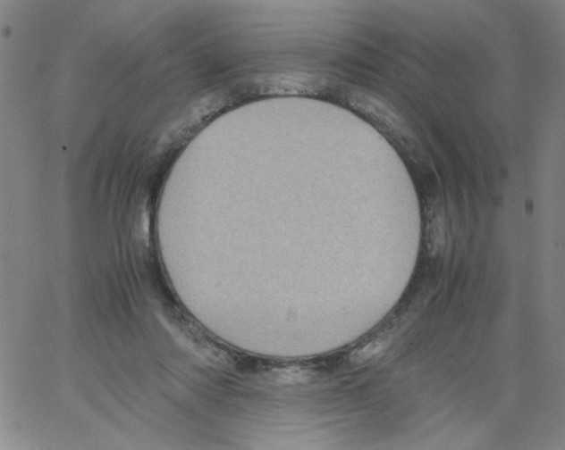 X0000066100310200604071829