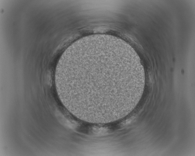 X0000066100311200604071829