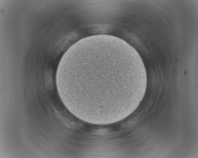 X0000066100312200604071829