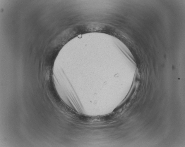 X0000066100315200604071829