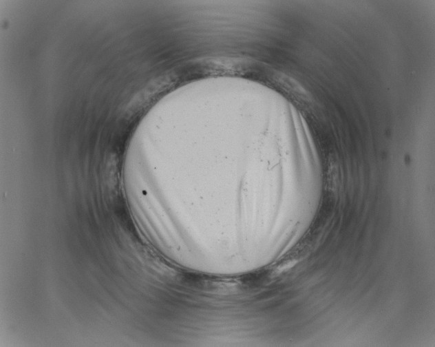 X0000066100318200604071829