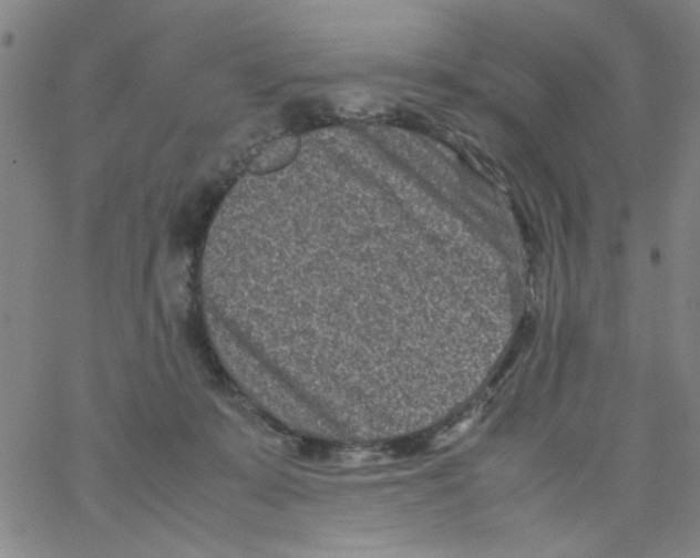 X0000066100319200604071829