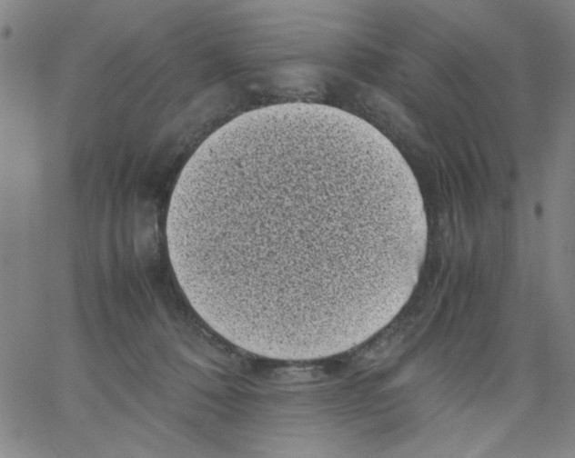 X0000066100320200604071829