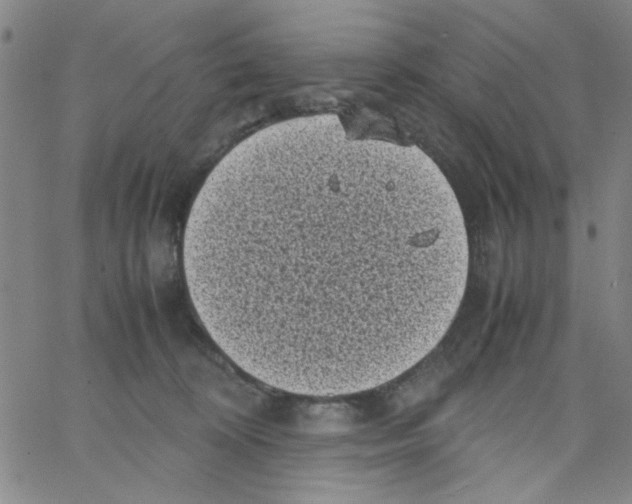 X0000066100324200604071829