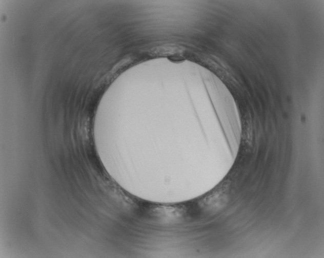 X0000066100326200604071828