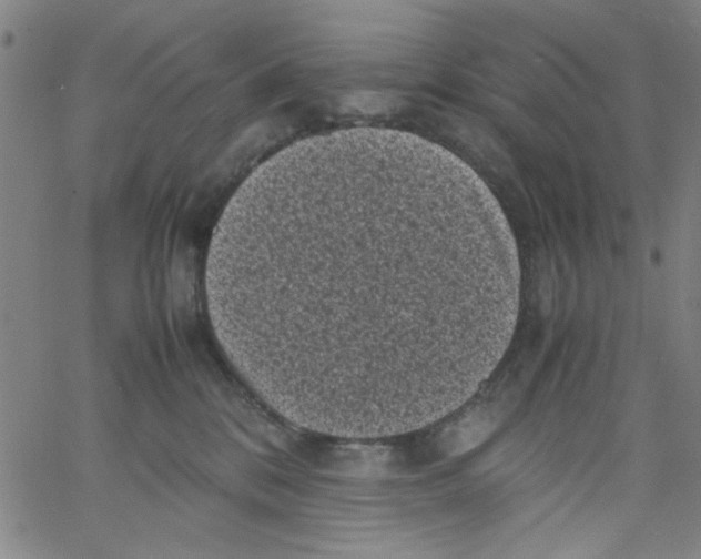 X0000066100328200604071828