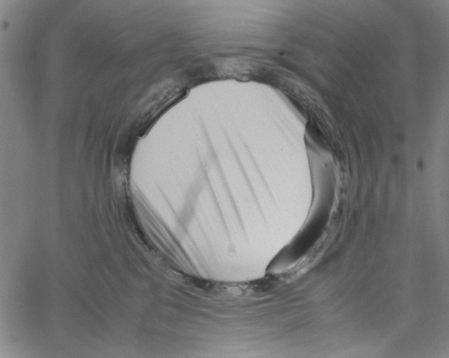 X0000066100329200604071828