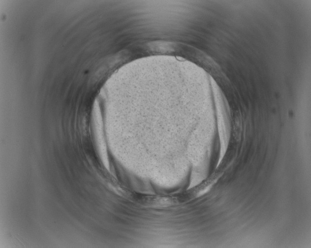 X0000066100330200604071828