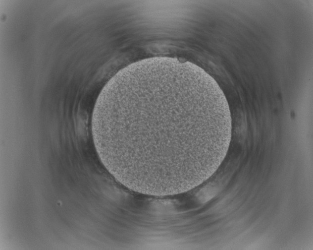 X0000066100332200604071828