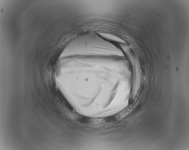 X0000066100333200604071828