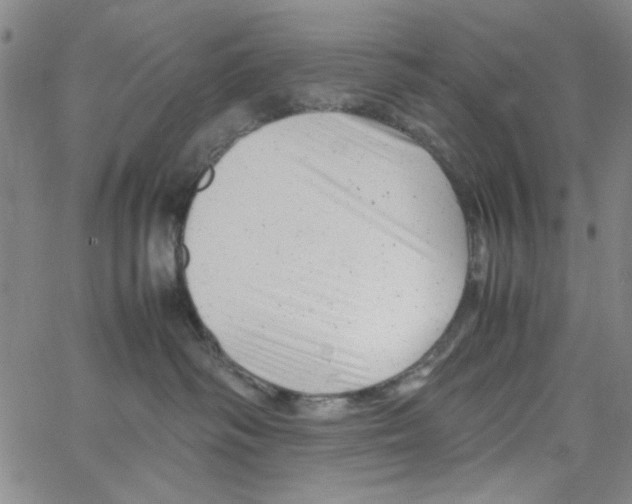 X0000066100334200604071828