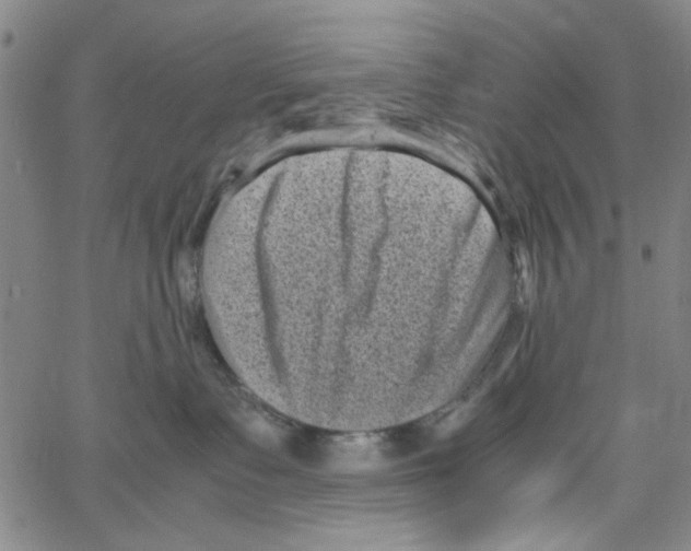 X0000066100335200604071828