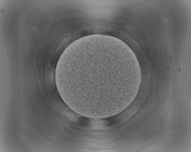 X0000066100336200604071828