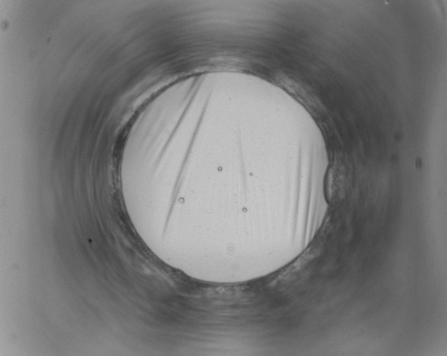 X0000066100338200604071828