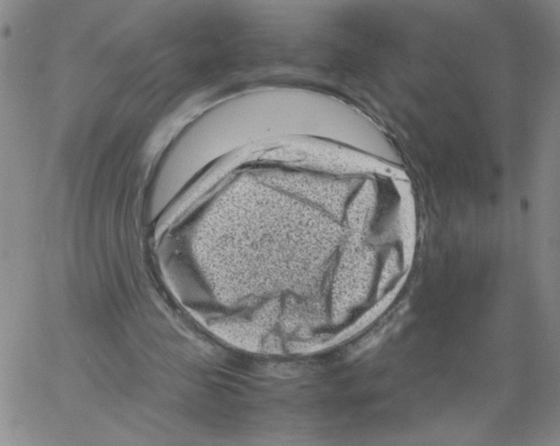 X0000066100341200604071828